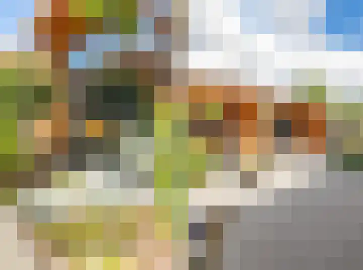 De Patrijs 21 Almelo thumbnail 39