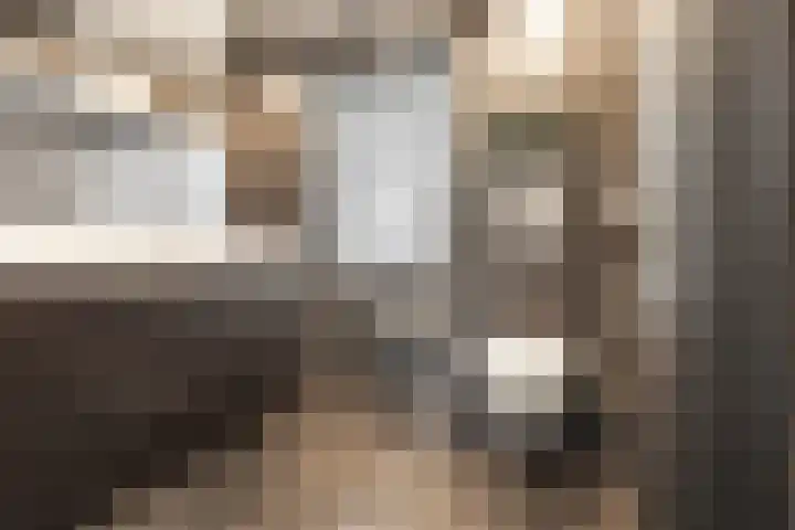 De Patrijs 21 Almelo thumbnail 4