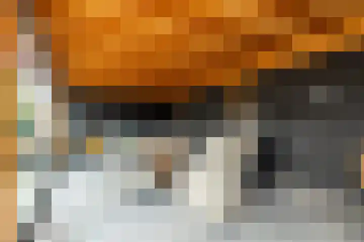 De Patrijs 21 Almelo thumbnail 42