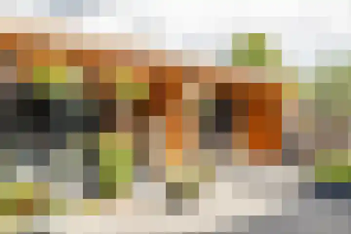 De Patrijs 21 Almelo thumbnail 44