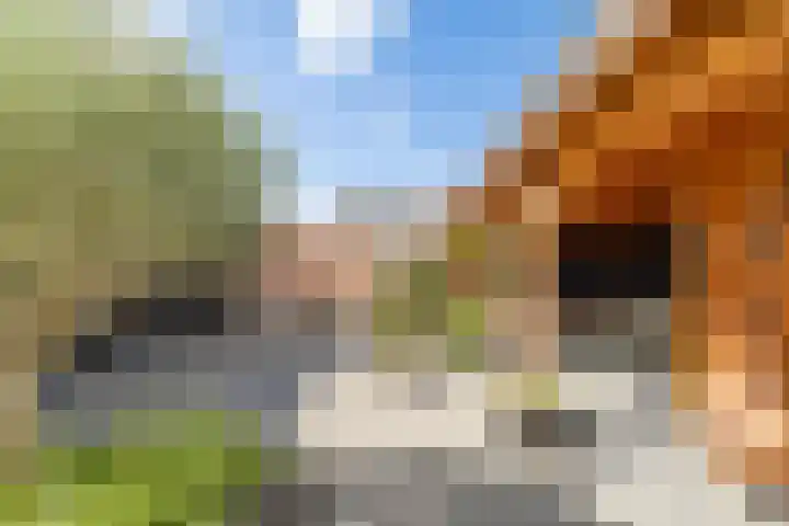 De Patrijs 21 Almelo thumbnail 46