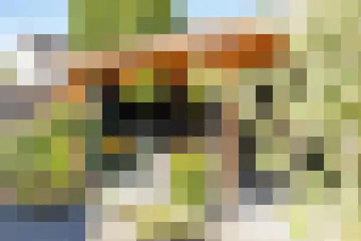 De Patrijs 21 Almelo thumbnail 47