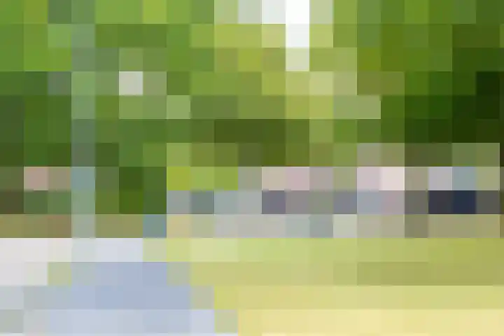 De Patrijs 21 Almelo thumbnail 49