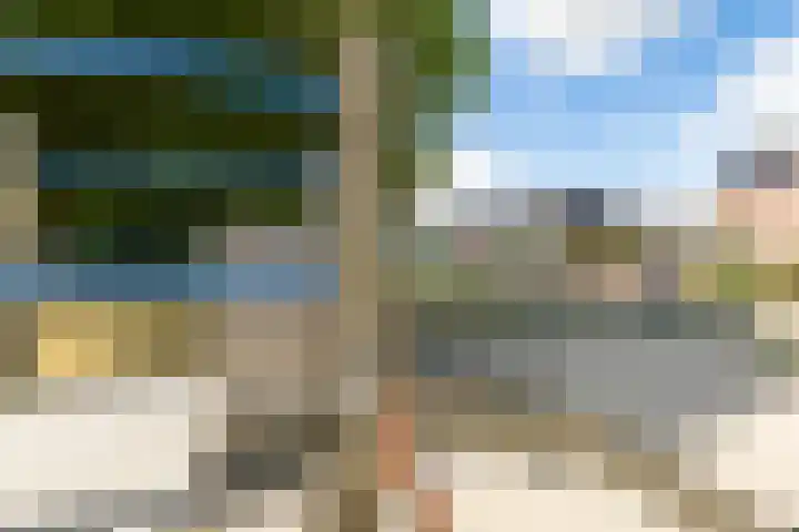 De Patrijs 21 Almelo thumbnail 50