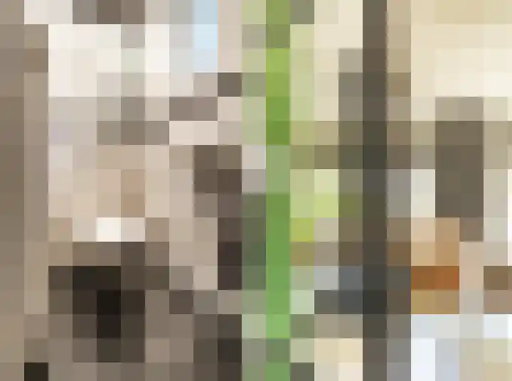 De Patrijs 21 Almelo thumbnail 8