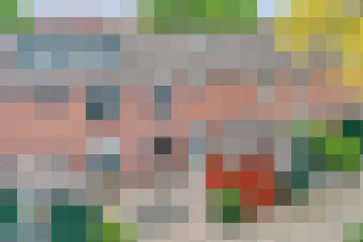 De Patrijs 31 in Zevenhuizen