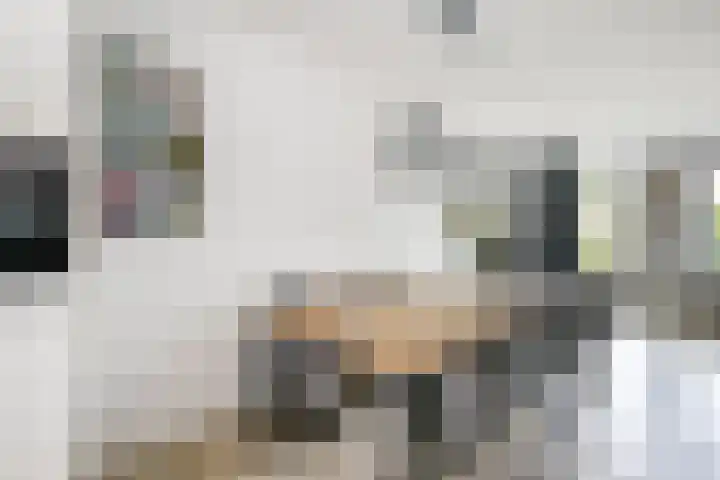 De Patrijs 31 Zevenhuizen thumbnail 10