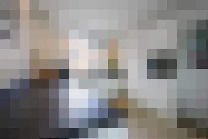 De Patrijs 31 Zevenhuizen thumbnail 11