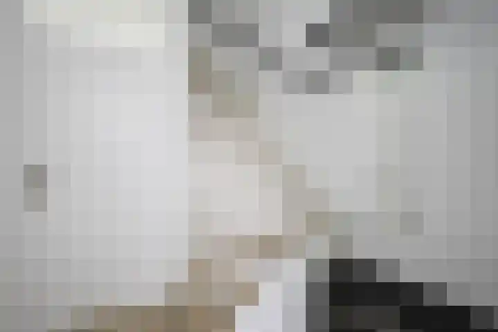 De Patrijs 31 Zevenhuizen thumbnail 15