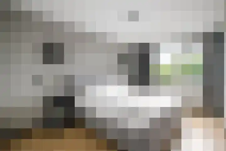 De Patrijs 31 Zevenhuizen thumbnail 16