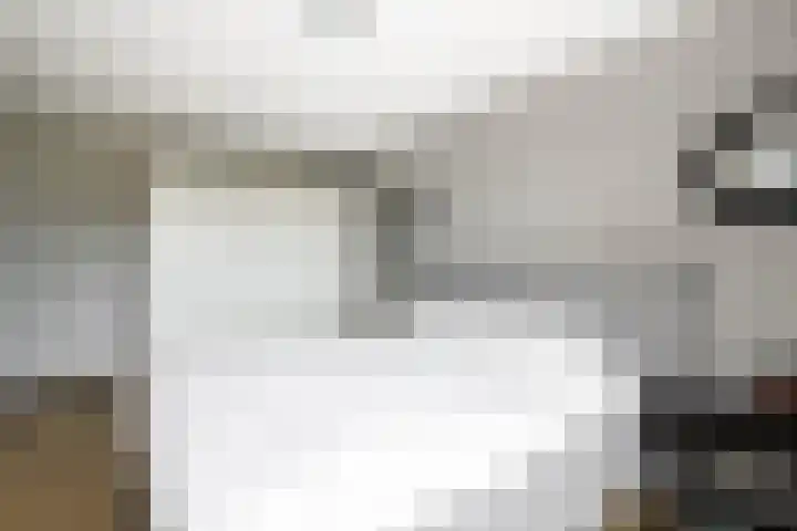 De Patrijs 31 Zevenhuizen thumbnail 17