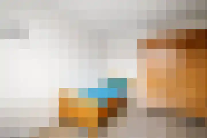 De Patrijs 31 Zevenhuizen thumbnail 20