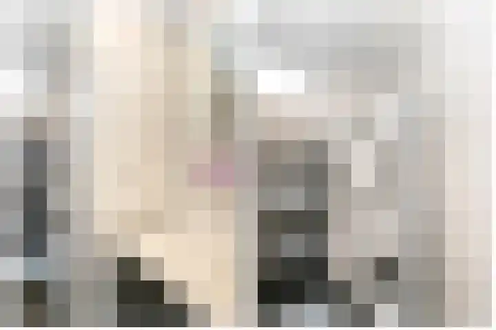 De Patrijs 31 Zevenhuizen thumbnail 22
