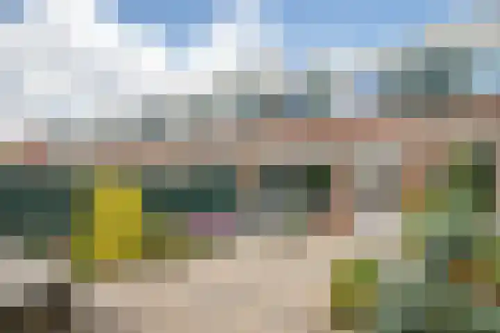 De Patrijs 31 Zevenhuizen thumbnail 25