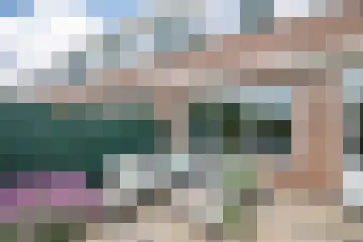 De Patrijs 31 Zevenhuizen thumbnail 26