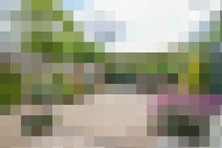 De Patrijs 31 Zevenhuizen thumbnail 27