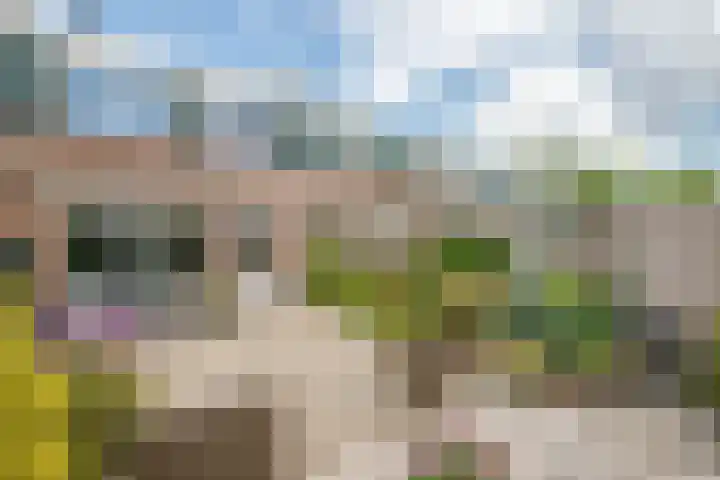 De Patrijs 31 Zevenhuizen thumbnail 28