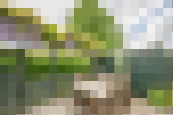 De Patrijs 31 Zevenhuizen thumbnail 29