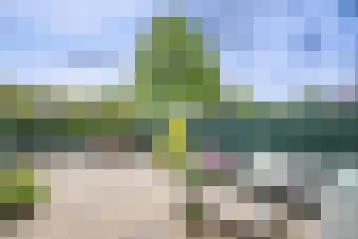 De Patrijs 31 Zevenhuizen thumbnail 4