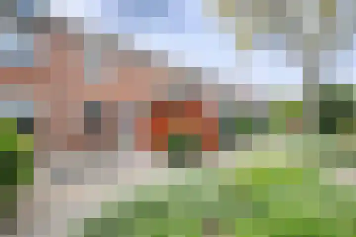 De Patrijs 31 Zevenhuizen thumbnail 5
