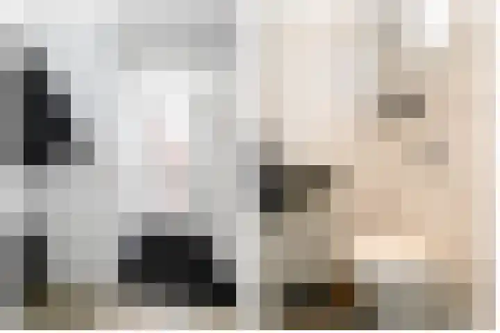 De Patrijs 31 Zevenhuizen thumbnail 6