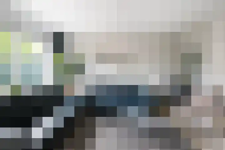 De Patrijs 31 Zevenhuizen thumbnail 8