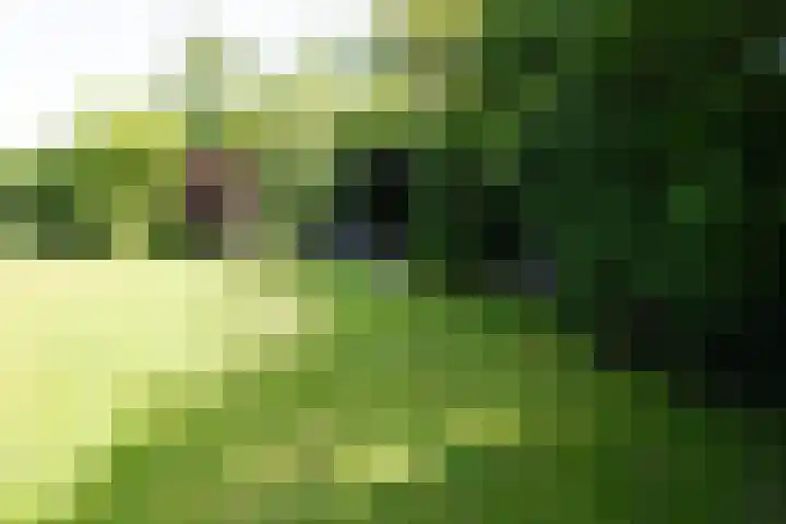 De Patrijs 53 Vriezenveen thumbnail 10