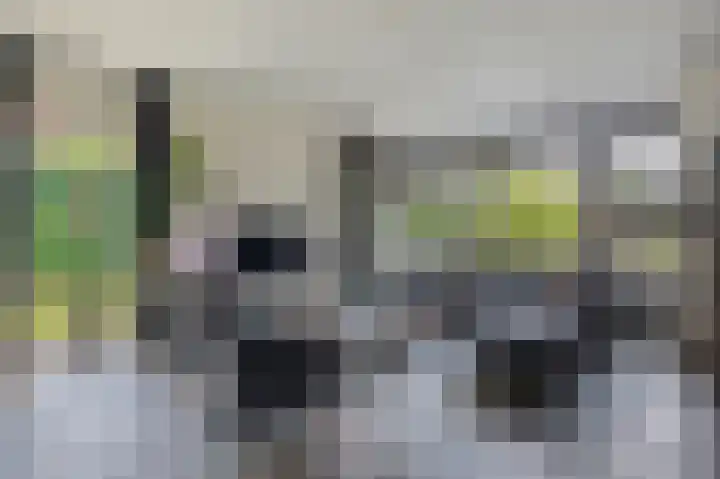 De Patrijs 53 Vriezenveen thumbnail 4
