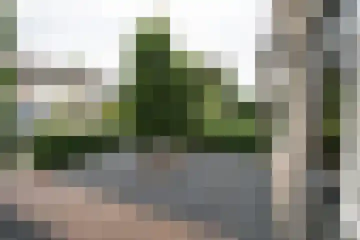 De Patrijs 53 Vriezenveen thumbnail 4