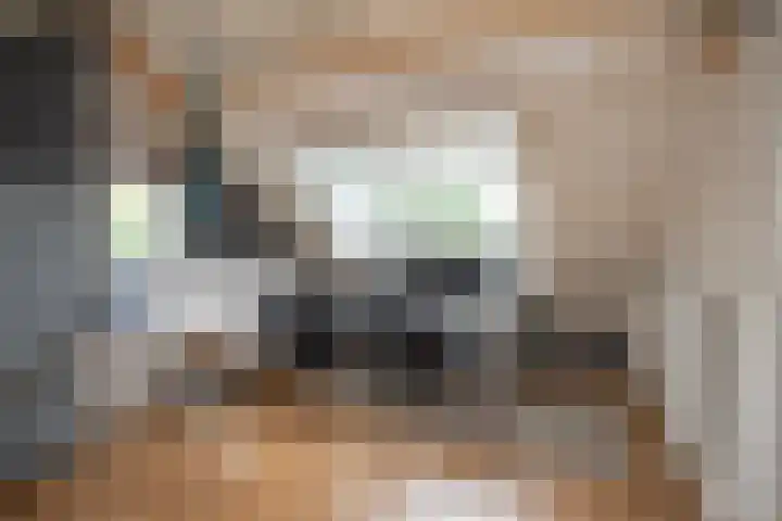 De Patrijs 53 Vriezenveen thumbnail 41