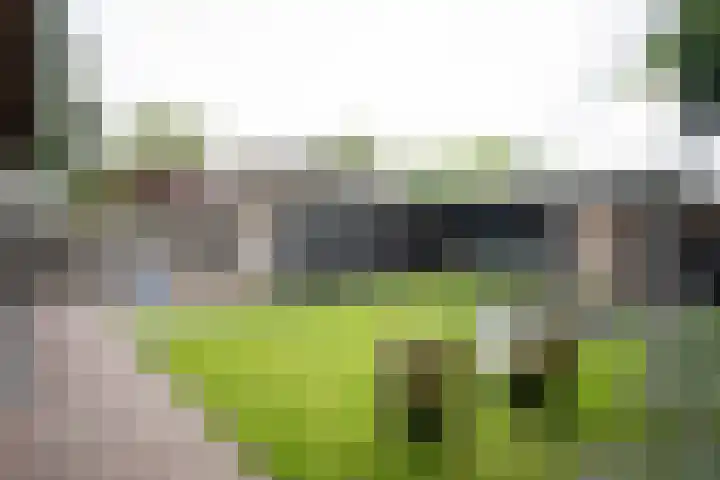 De Patrijs 53 Vriezenveen thumbnail 43