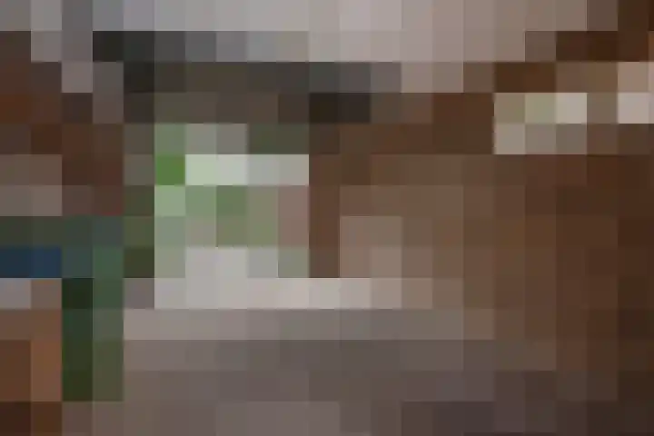 De Patrijs 53 Vriezenveen thumbnail 44
