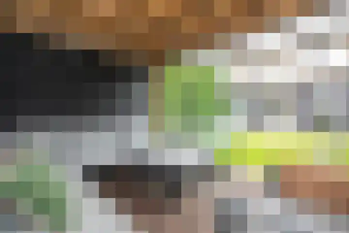 De Patrijs 53 Vriezenveen thumbnail 48