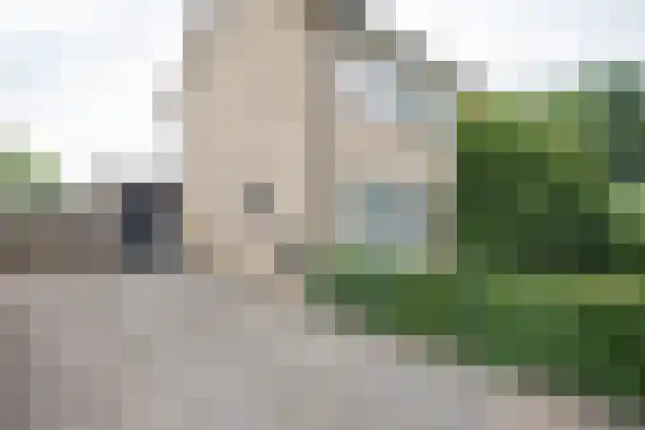 De Patrijs 53 Vriezenveen thumbnail 5