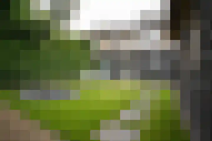 De Patrijs 53 Vriezenveen thumbnail 51