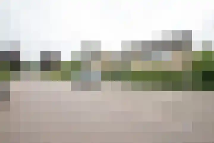 De Patrijs 53 Vriezenveen thumbnail 53