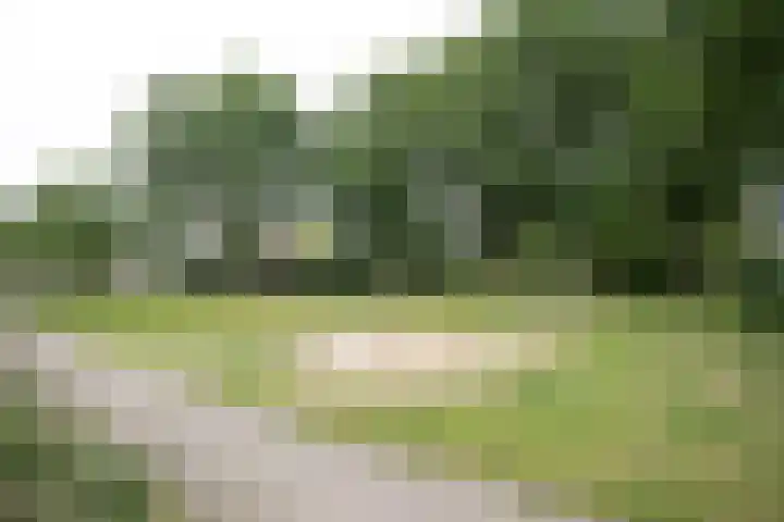 De Patrijs 53 Vriezenveen thumbnail 54