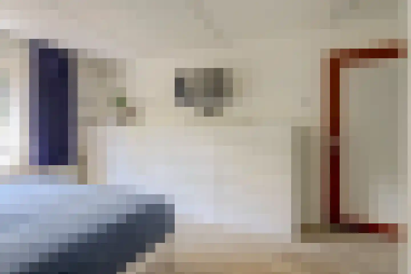 De Patrijs 68 Dronten thumbnail 15