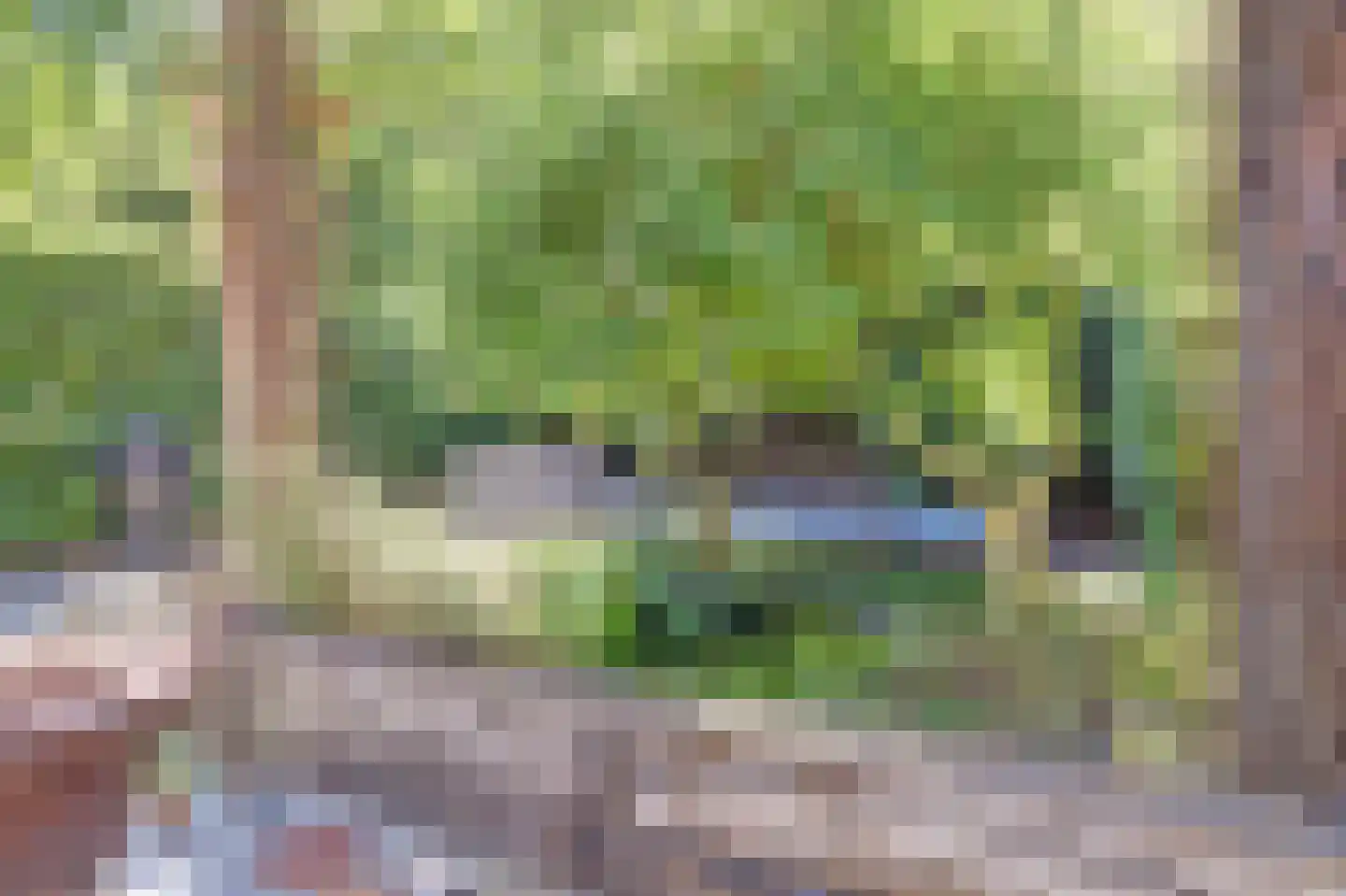 De Patrijs 68 Dronten thumbnail 33