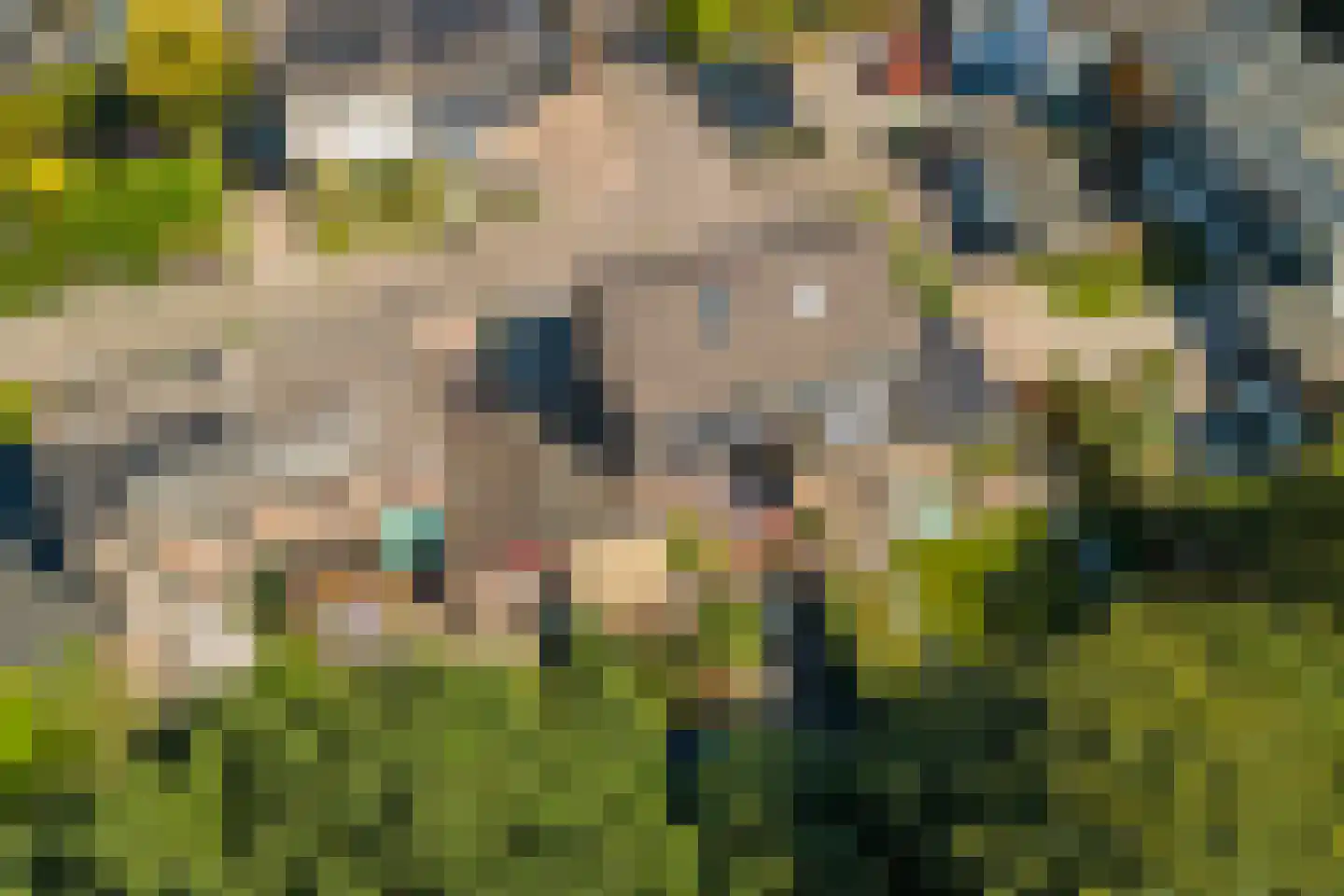 De Patrijs 68 Dronten thumbnail 41
