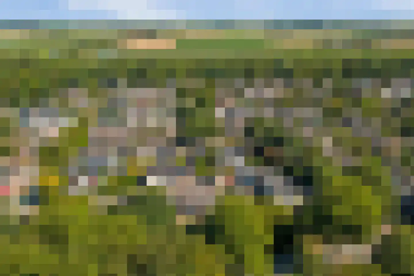 De Patrijs 68 Dronten thumbnail 42