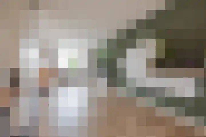 De Patrijs 8 Meerlo thumbnail 10