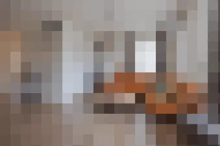 De Patrijs 8 Meerlo thumbnail 12