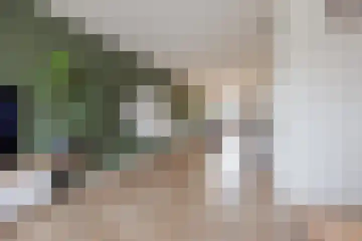 De Patrijs 8 Meerlo thumbnail 13