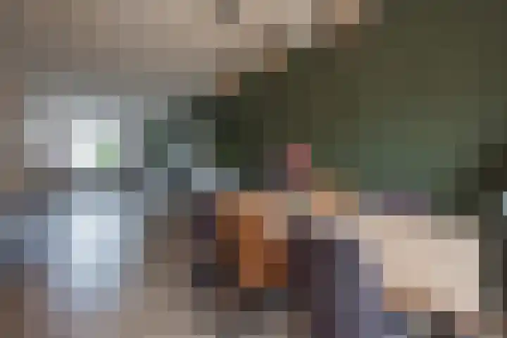 De Patrijs 8 Meerlo thumbnail 15