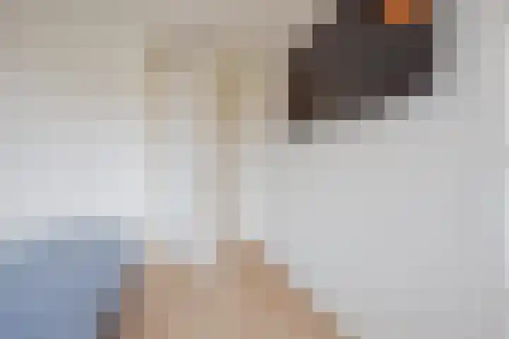 De Patrijs 8 Meerlo thumbnail 20