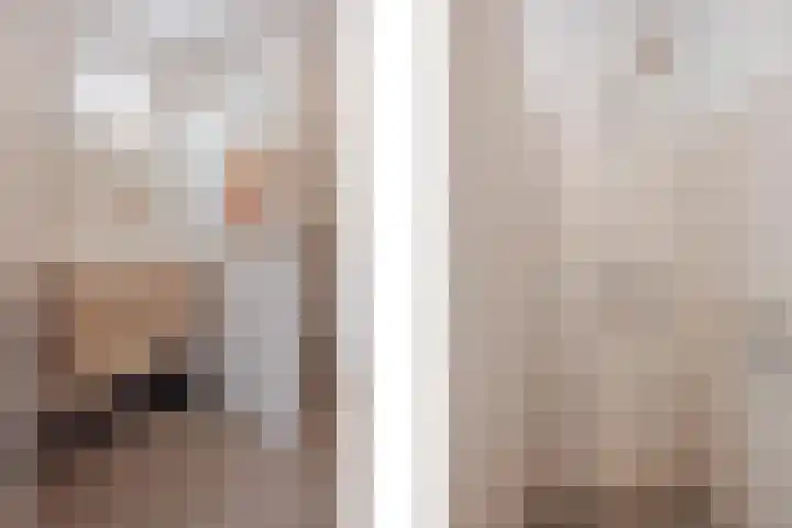 De Patrijs 8 Meerlo thumbnail 27