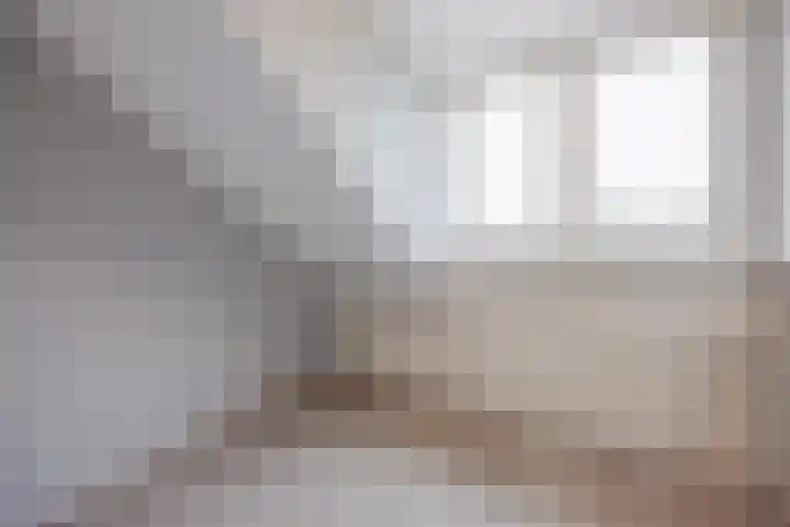 De Patrijs 8 Meerlo thumbnail 32