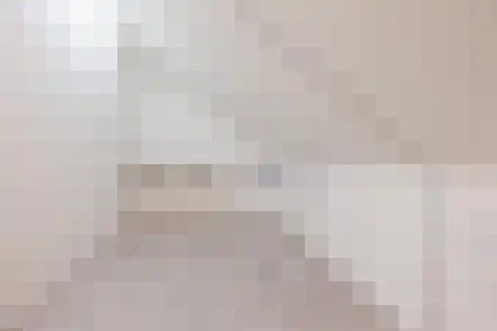 De Patrijs 8 Meerlo thumbnail 34