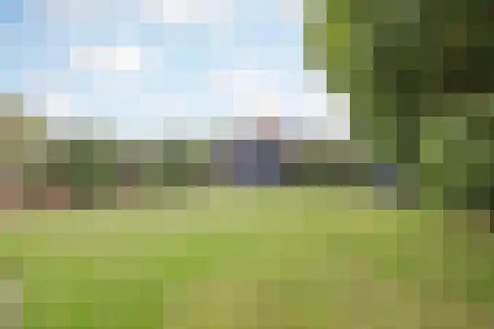 De Patrijs 8 Meerlo thumbnail 37